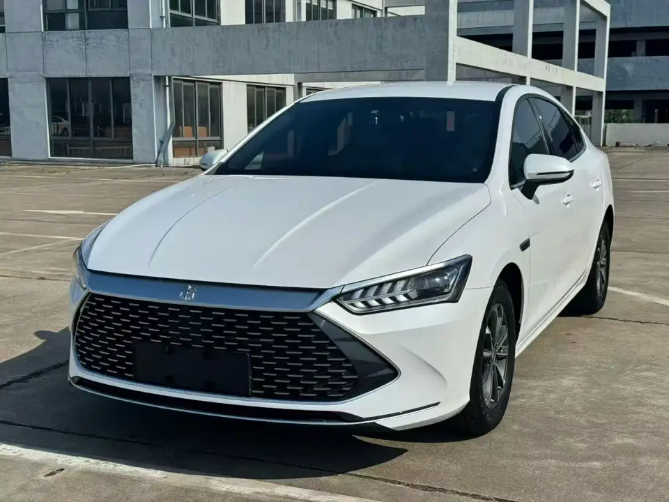 BYD Qin PLUS Champion Edition DM-i 55KM Leading 2024