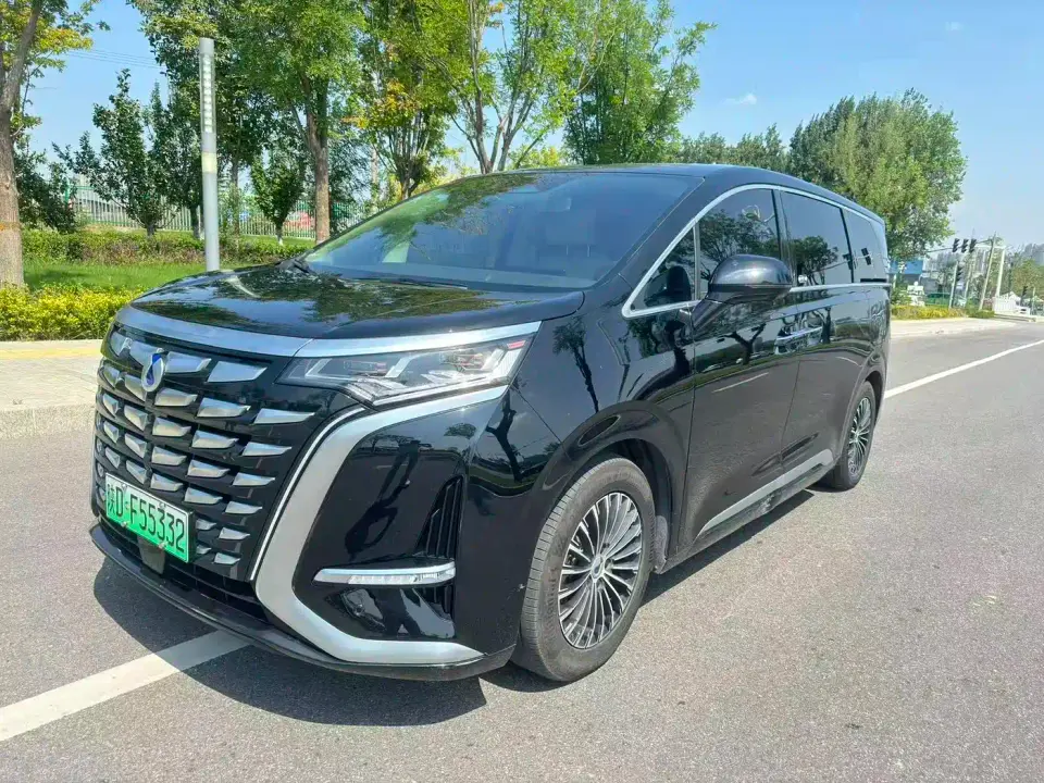 Denza D9 DM-i 980 AWD Prestige 2024