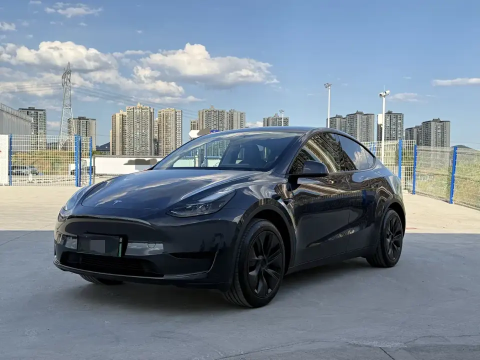 Tesla Model Y Rear-Wheel Drive Version 2024