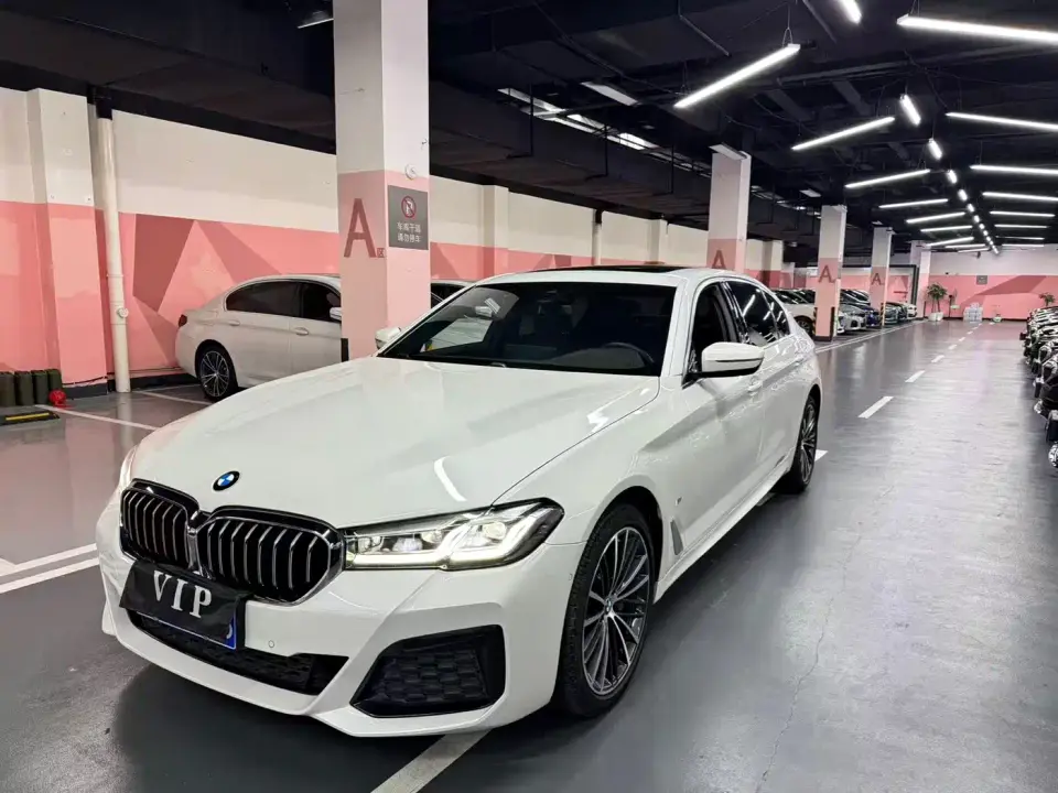 BMW 5 Series 530Li Leading M Sport Package 2021