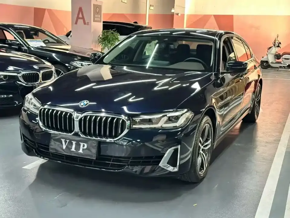 BMW 5 Series 530Li Leading Luxury Package 2021