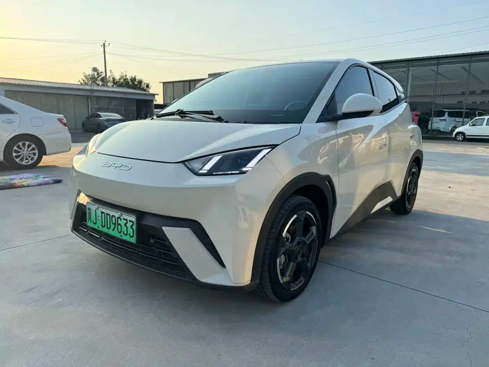 BYD Seagull Freedom Edition 2024