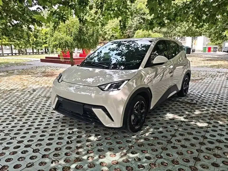 BYD Seagull Freedom Edition 2023