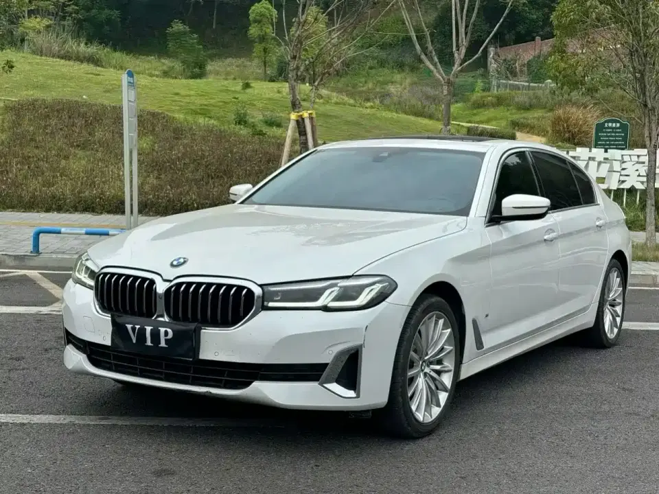 BMW 5 Series 530Li Premium Luxury Package 2021