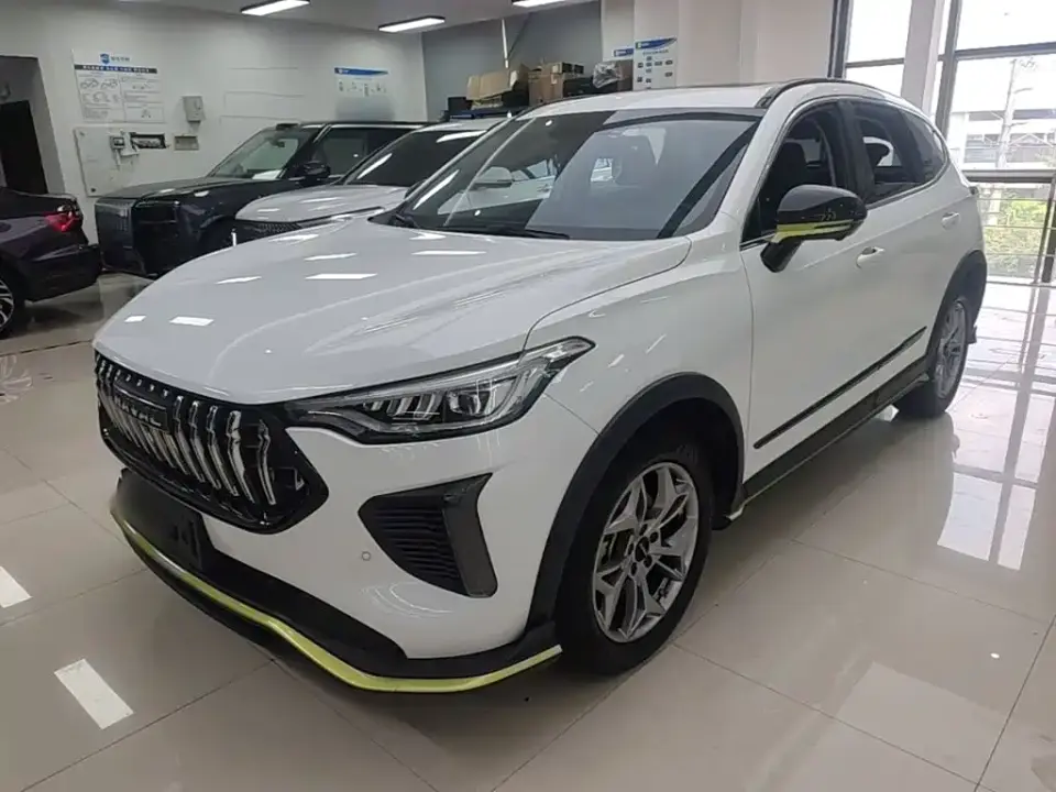 Haval Chitu Power Edition 1.5T Purple Copper Rabbit 2022