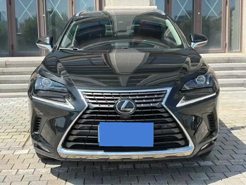 Lexus NX Model 200 AWD Fengshang Edition China V 2021