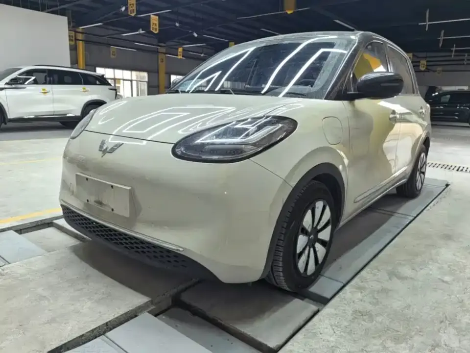 Wuling Motors Wuling Bingo 410km Lingxi Premium Edition 2024