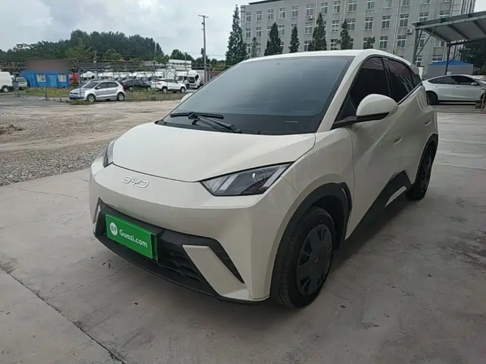 BYD Seagull 305km Vitality 2025
