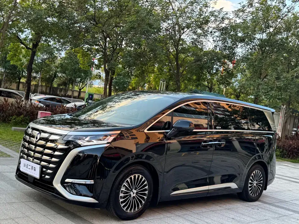 Denza D9 DM-i 1050 Premium 2024