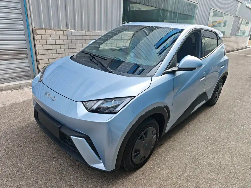 BYD Seagull 305km Vitality 2024