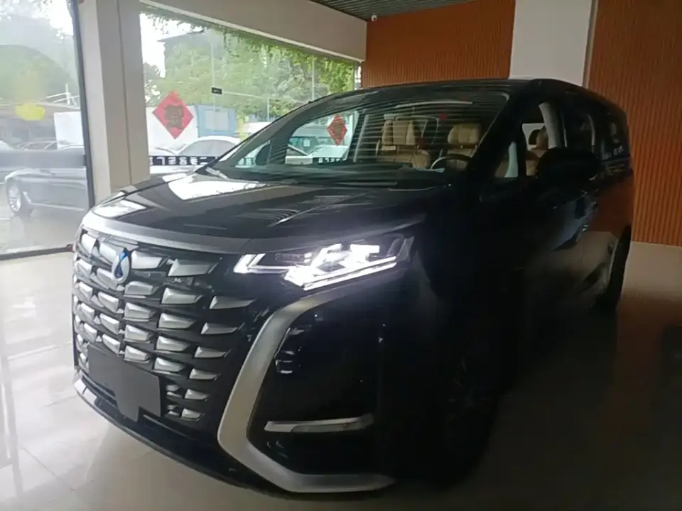 Denza D9 DM-i 1040 Premium 2023