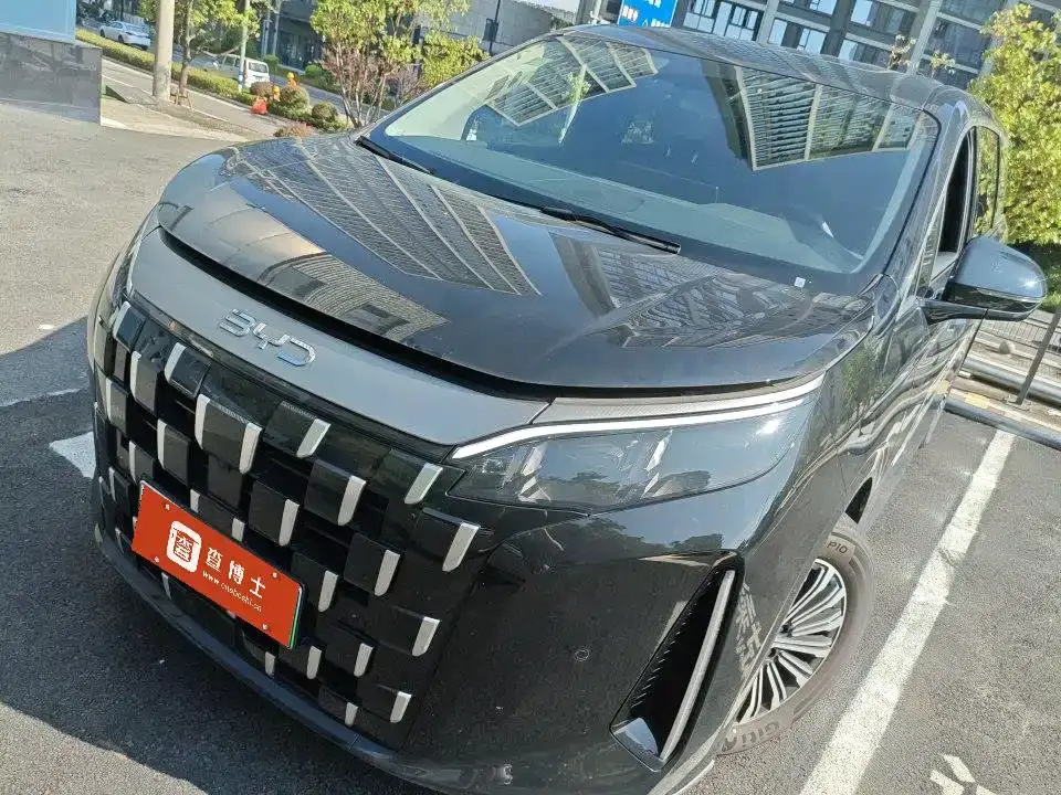 BYD M9 Model 1060 Pilot Edition 2025