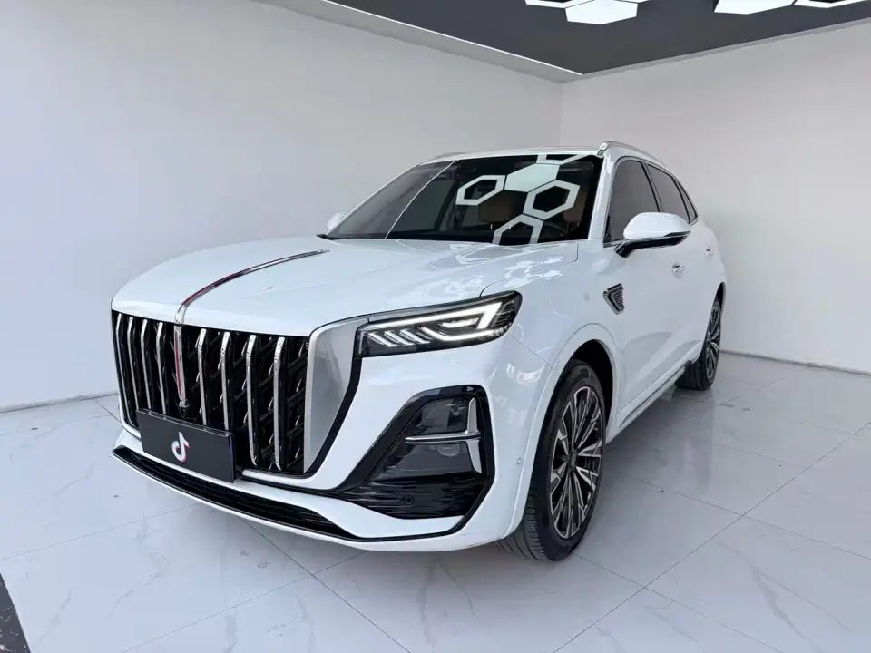 Hongqi HS5 2.0T AWD Flag Pro 500,000 Units Commemorative Edition 2024