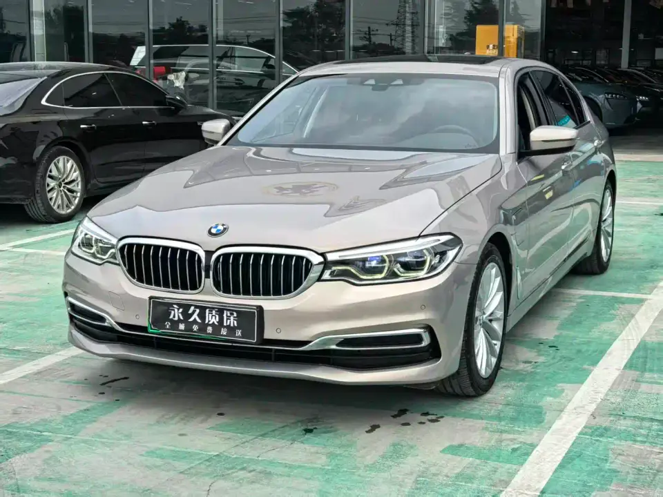 BMW 5 Series New Energy 530Le Luxury Package 2020