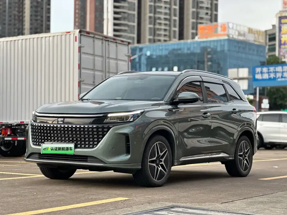 Landian E5 Glory Edition 100KM Ultimate Type 5-Seater 2024