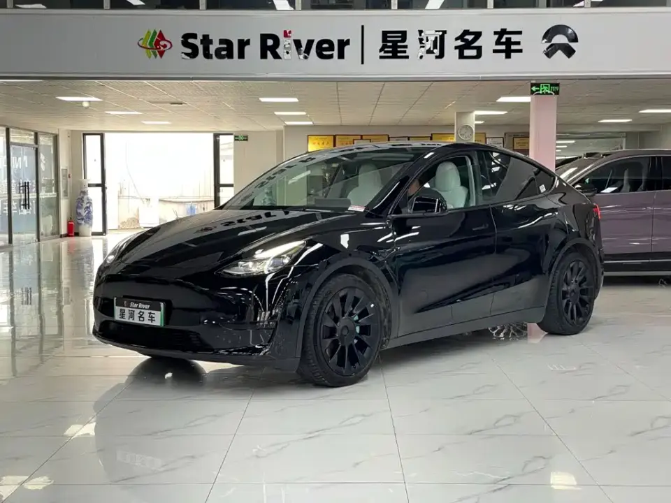 Tesla Model Y Rear-Wheel Drive Version 2022