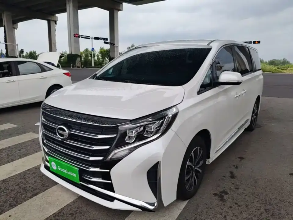 GAC Trumpchi M8 Leading Series 390T Premium Edition 2024