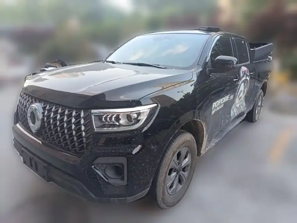 Great Wall Pao Model 2.4T Commercial Version Automatic Diesel 4WD Elite Type 2025