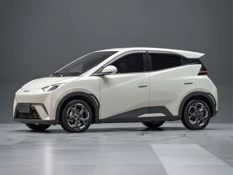 BYD Seagull 405km Soaring 2025