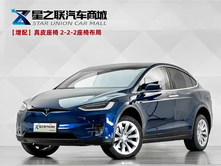 Tesla Model X Model X 75D 2019
