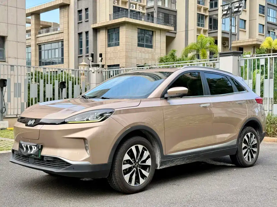 Weltmeister EX5 EX5 400 Extra Innovation Edition 2019