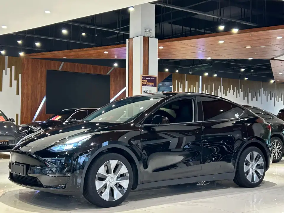 Tesla Model Y Standard Range Rear-Wheel Drive 2021