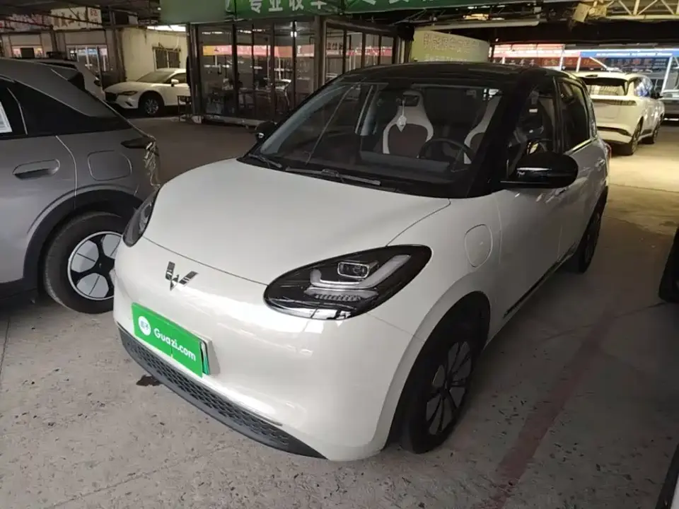 Wuling Motors Wuling Bingo 410km Lingxi Premium Edition 2024