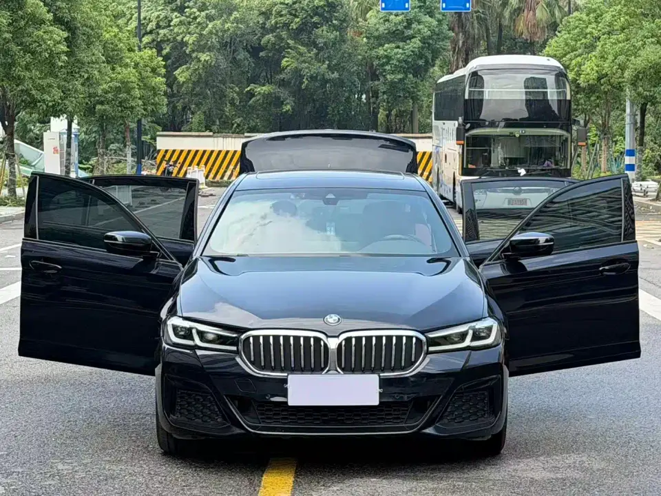 BMW 5 Series 530Li Leading M Sport Package 2020