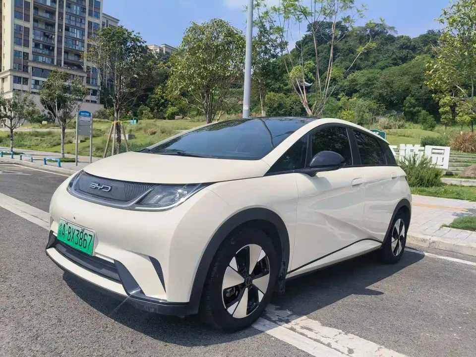 BYD Dolphin 420km Fashion Edition 2024