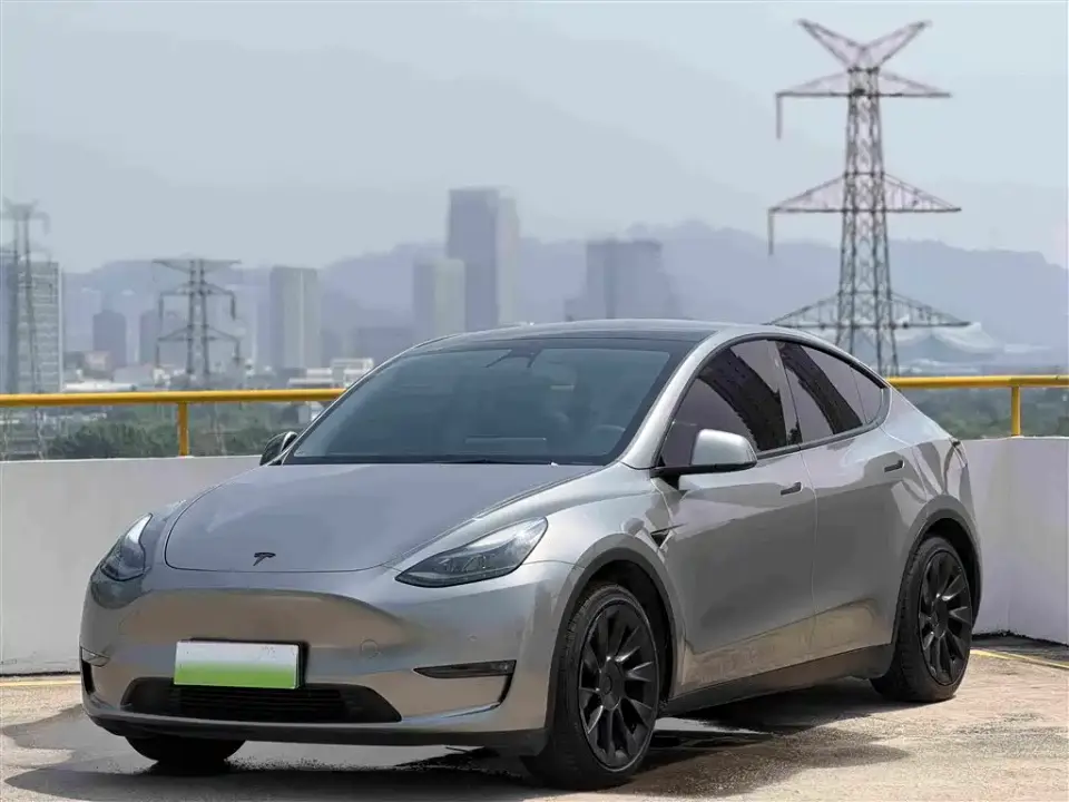 Tesla Model Y Standard Range Rear-Wheel Drive 2021