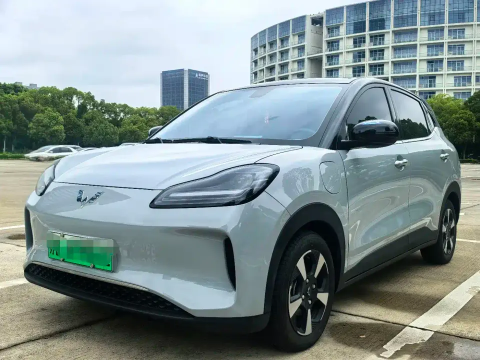 Wuling Motors Wuling Binguo PLUS Model 330km 5-Seater 2024