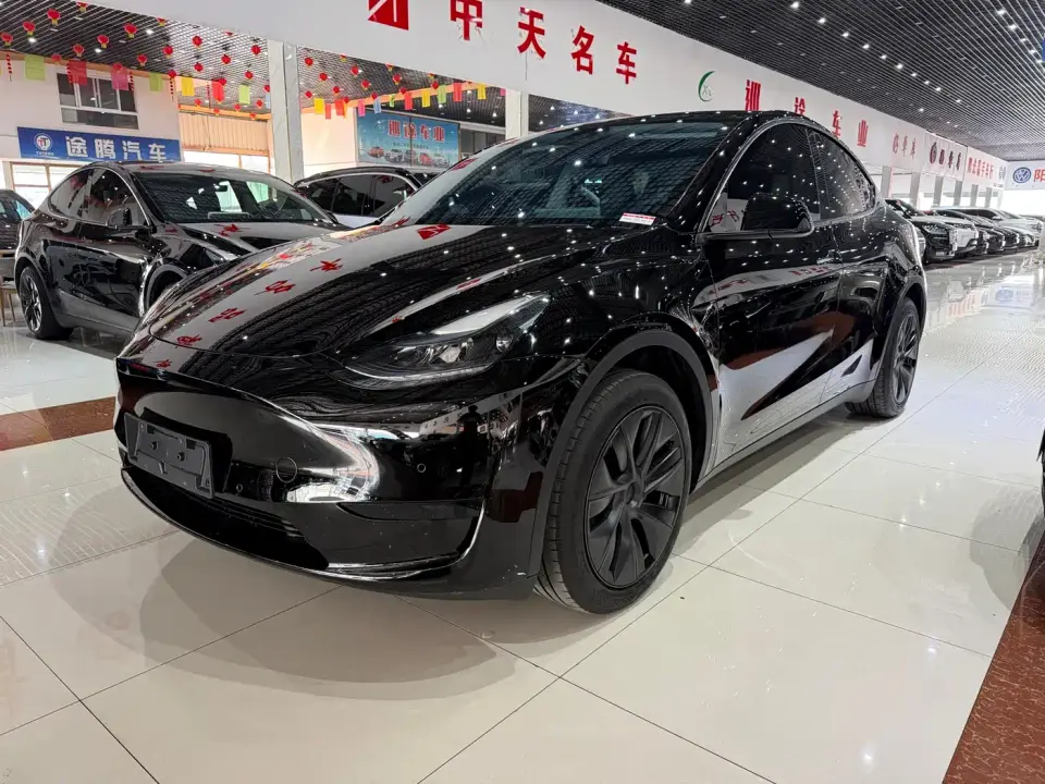 Tesla Model Y Rear-Wheel Drive Edition 2024