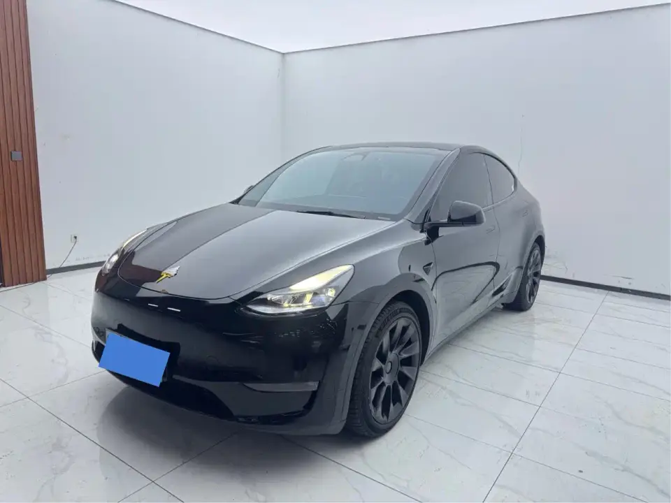 Tesla Model Y Standard Range Rear-Wheel Drive 2021