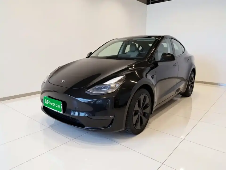 Tesla Model Y Long Range All-Wheel Drive Edition 2024