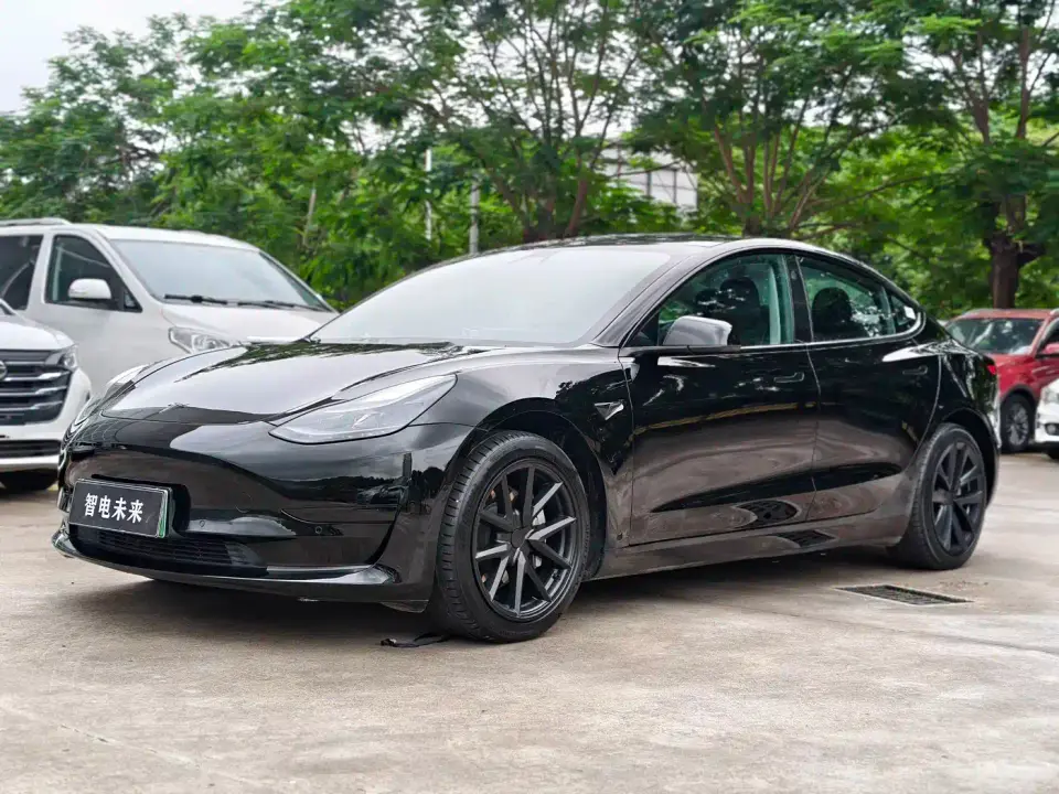 Tesla Model 3 Facelift Standard Range RWD Upgrade 3D1 2021