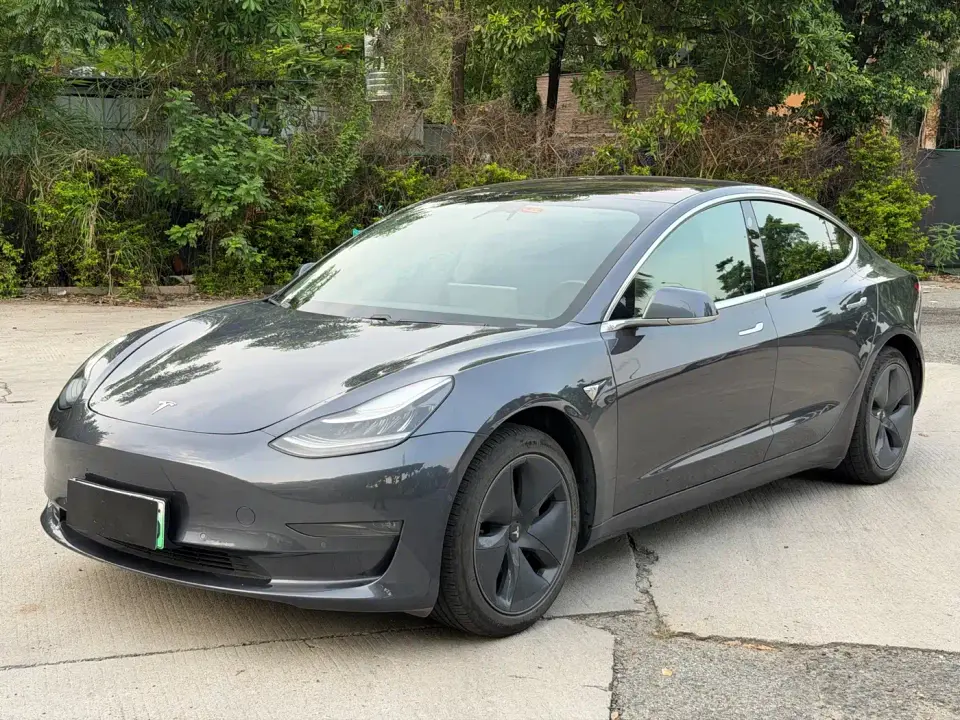 Tesla Model 3 (Import) Long Range RWD Version 2019