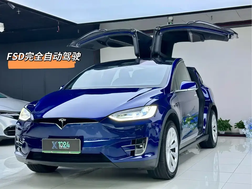 Tesla Model X Long Range Version 2020