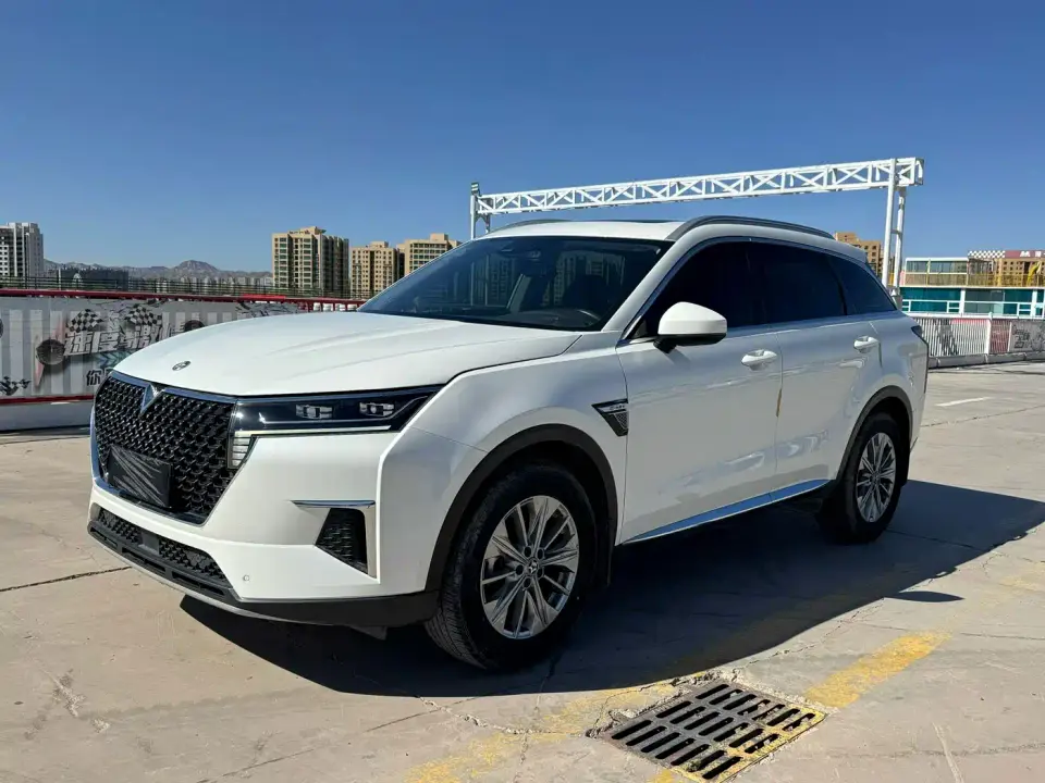 Venucia Star 260T Automatic 48V Mild Hybrid Turbo Star Enjoy Edition 2020