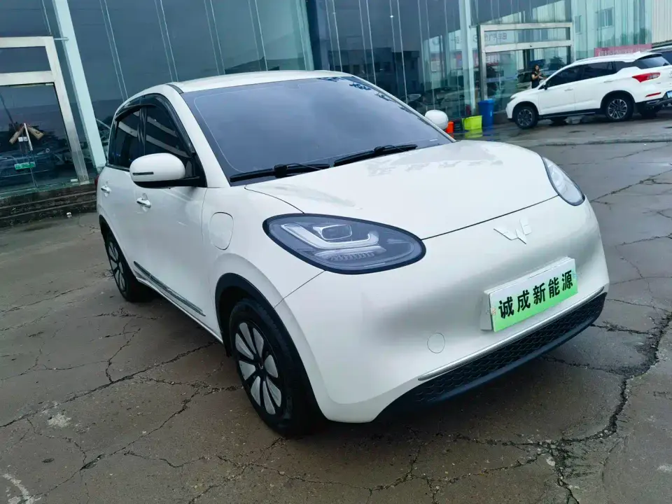 Wuling Motors Wuling Bingo 333km Comfort Edition 2024
