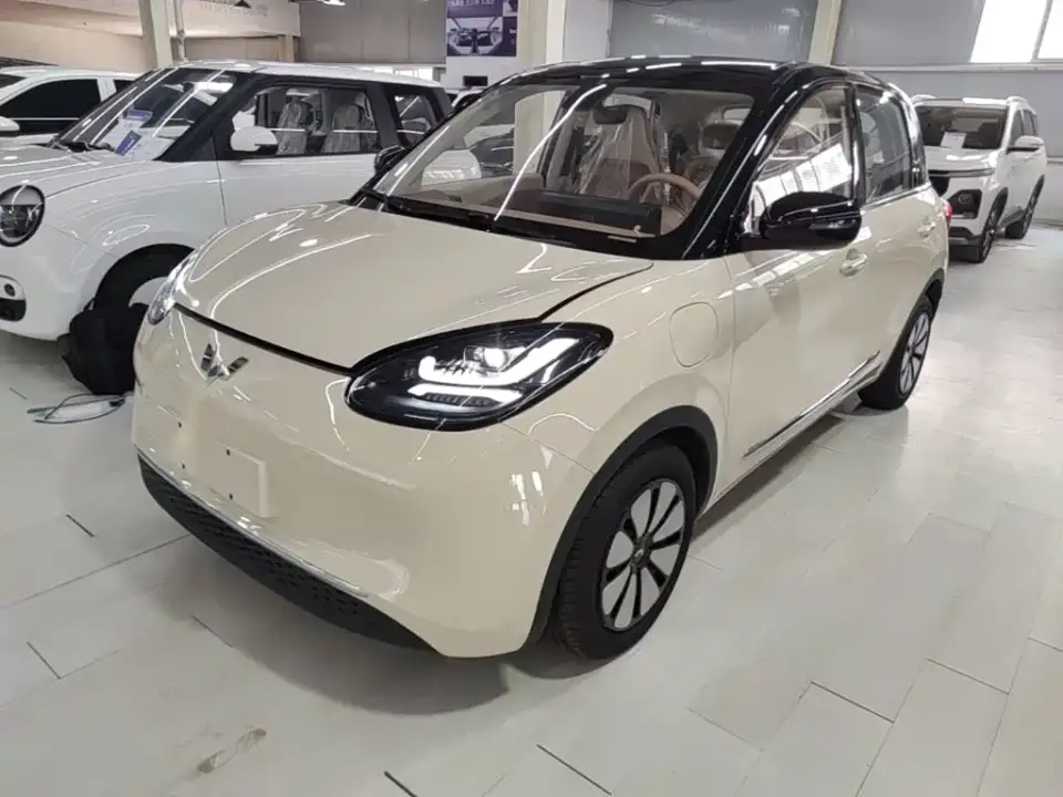 Wuling Motors Wuling Bingo Model 333km Joy Edition 2026