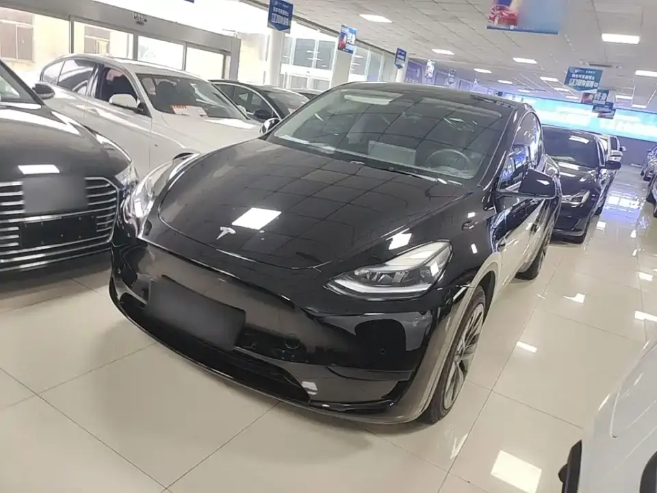 Tesla Model Y Rear-Wheel Drive Edition 2024