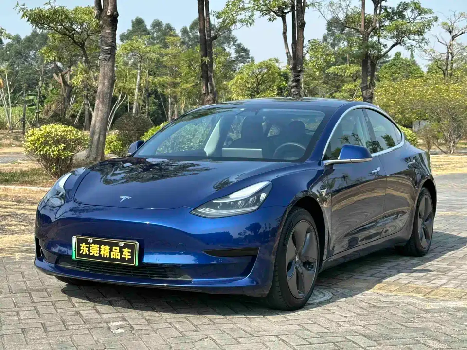 Tesla Model 3 (Import) Standard Range RWD Upgraded Edition 2019