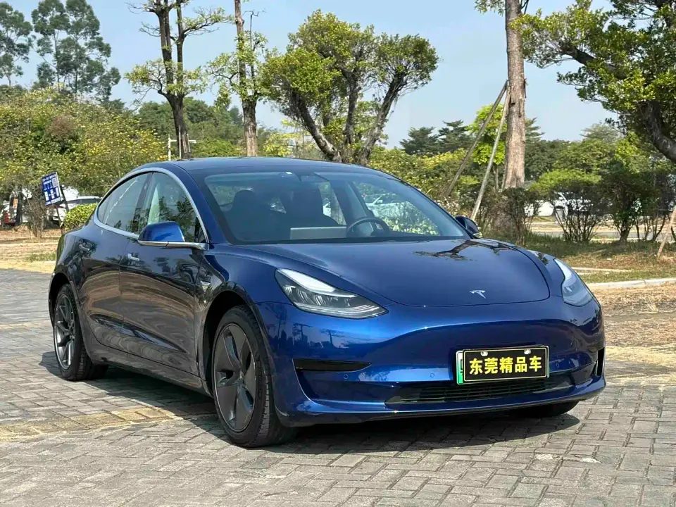 Tesla Model 3 (Import) Standard Range RWD Upgraded Edition 2019