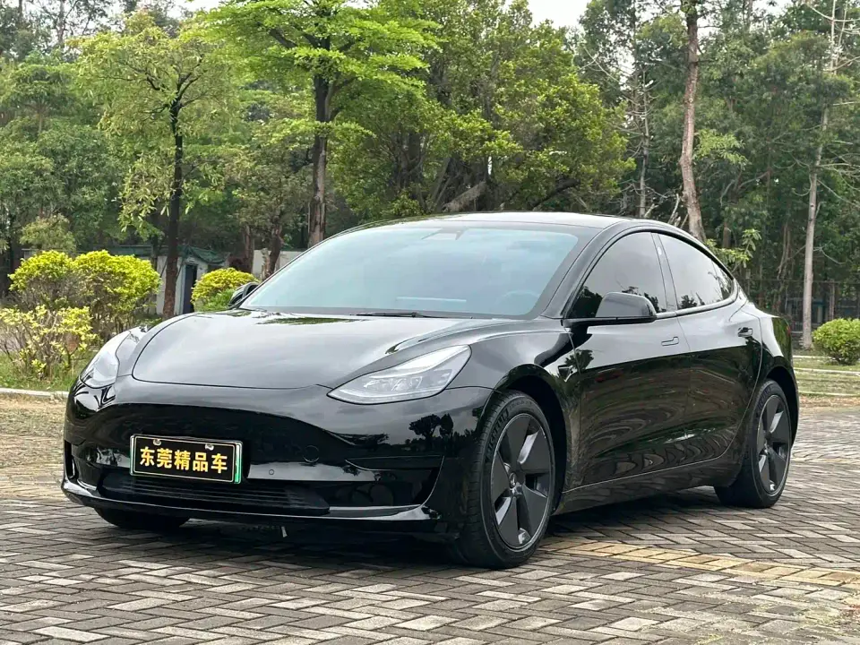 Tesla Model 3 Standard Range Rear-Wheel Drive Upgrade 3D6 2022