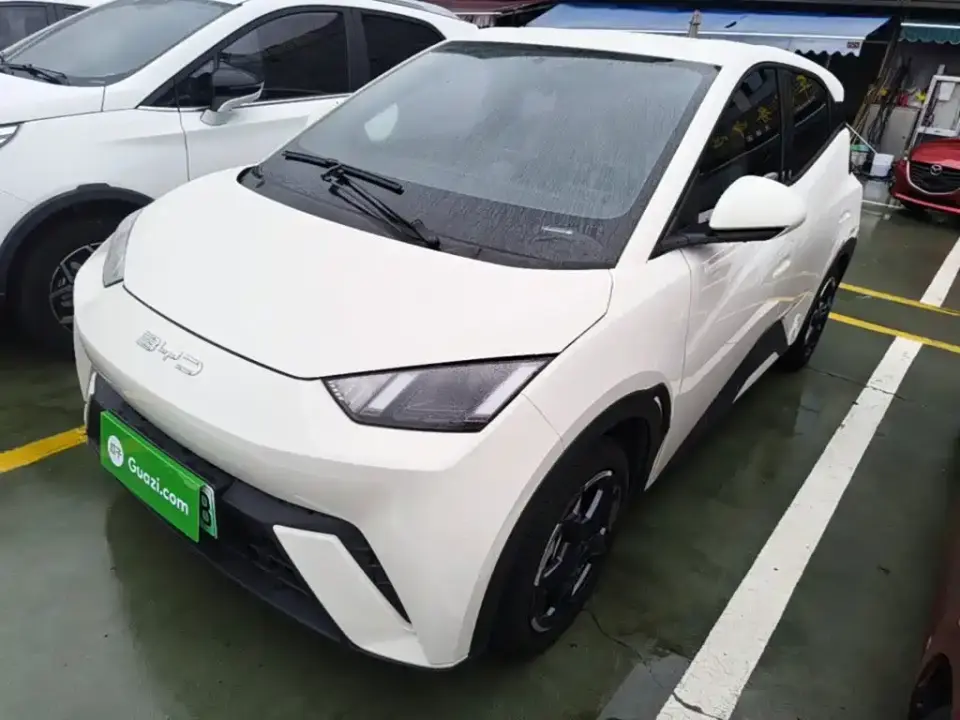 BYD Seagull Freedom Edition 2024