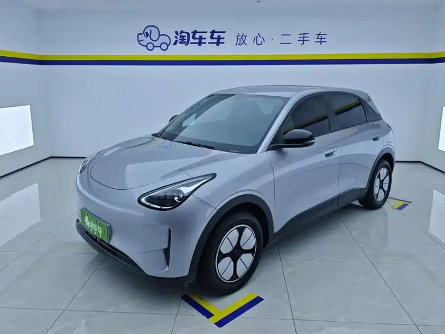 Geely Galaxy Starry Wish 310km Youth Edition 2025