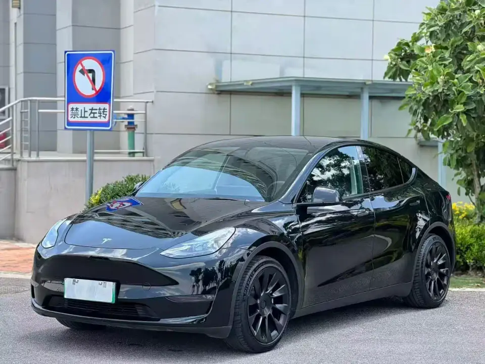 Tesla Model Y Model Long Range AWD 2021