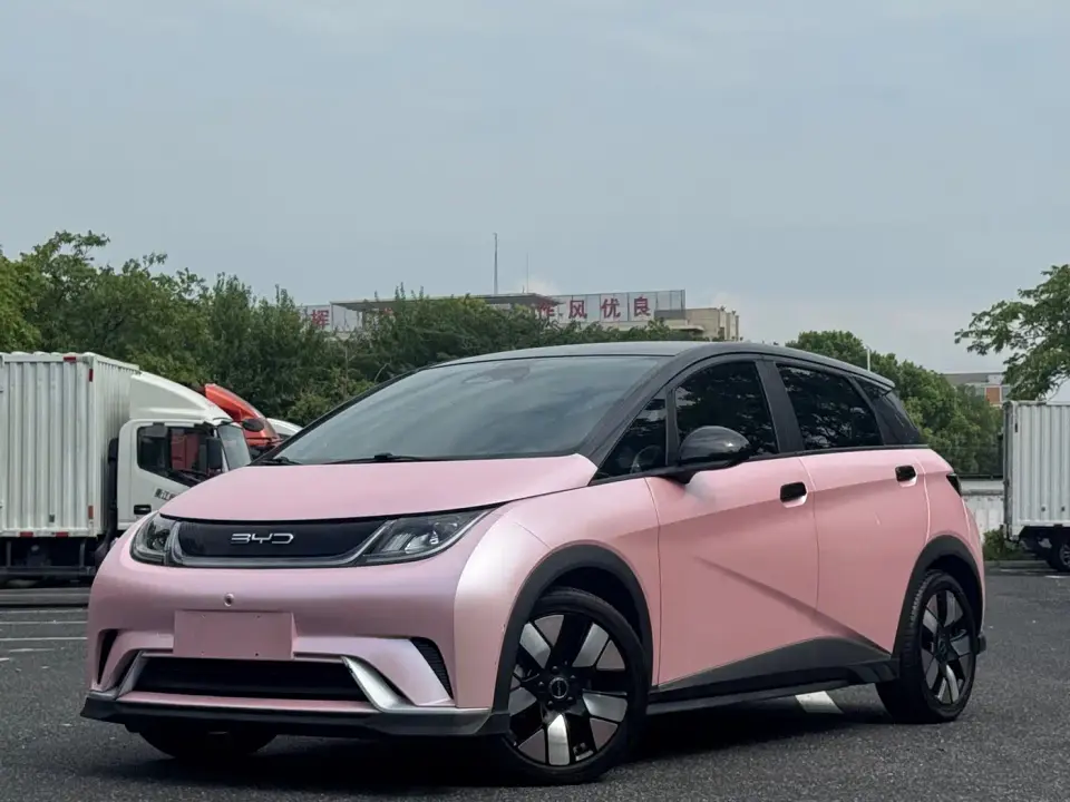 BYD Dolphin 401km Knight Edition 2022