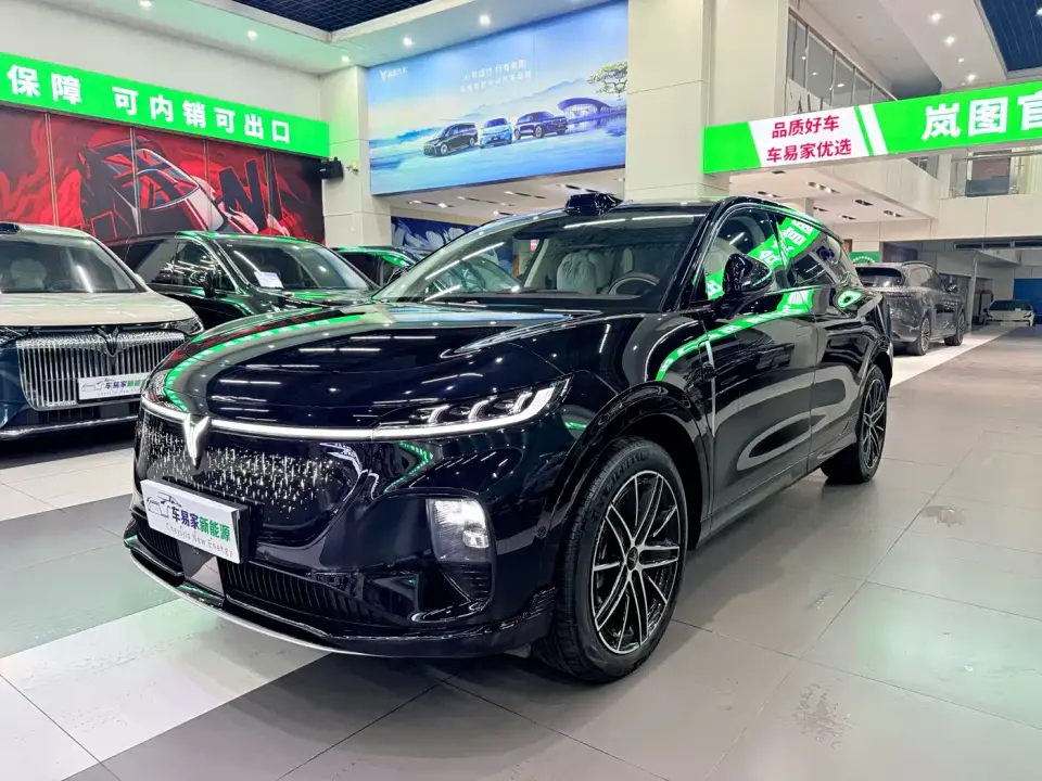 Voyah Auto Voyah Zhiyin Base 2025