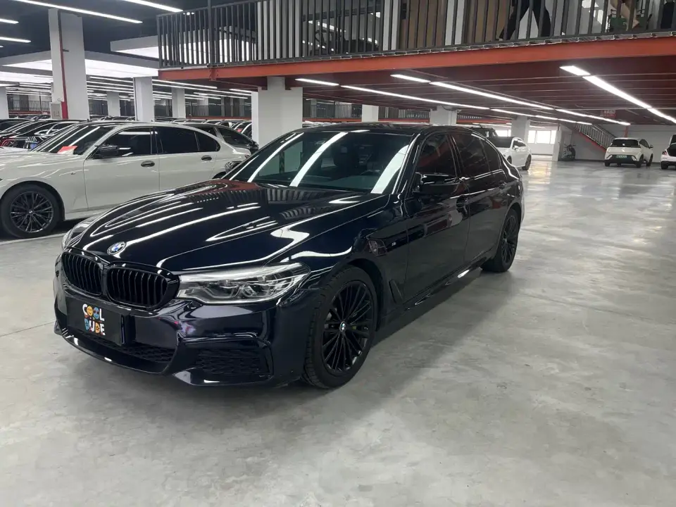 BMW 5 Series 530Li Leading M Sport Package 2020